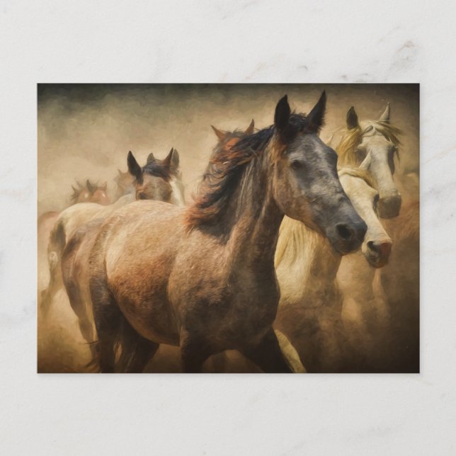 postal de estampida de caballo (Anverso)