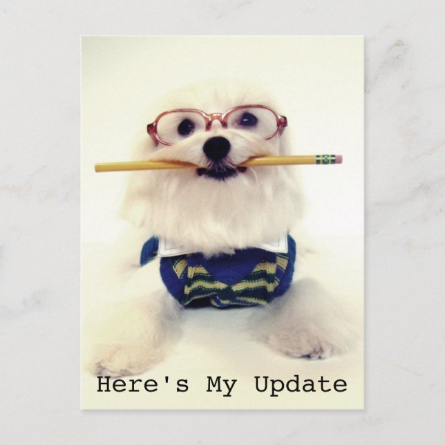 Postal De estudiante a padre (Anverso)