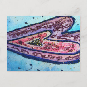 Postal de Faith Heart