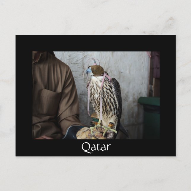 Postal de Falcona Black Qatar (Anverso)