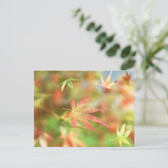 Postal de Fall Filigree (Anverso de pie)