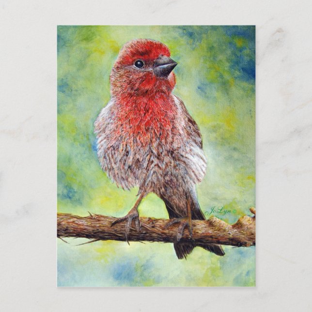 Postal de Finchy (Anverso)