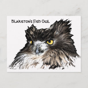 postal de Fish Owl