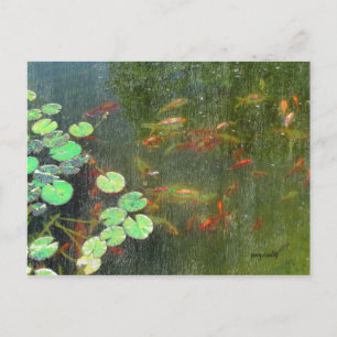 Postal de Fish Pond