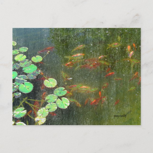 Postal de Fish Pond (Anverso)