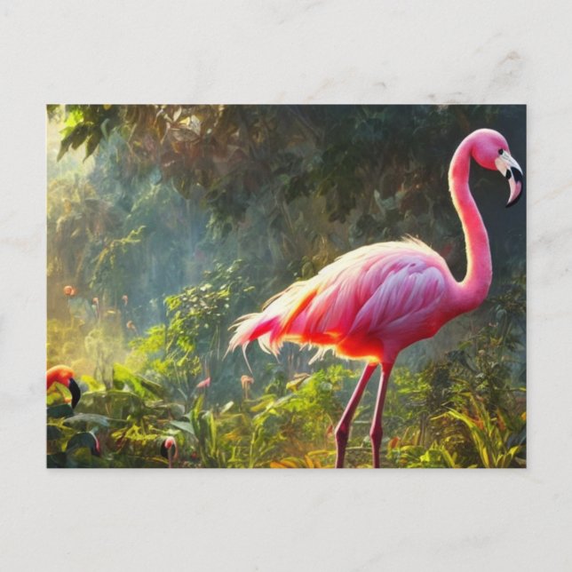 postal de Flamingo (Anverso)