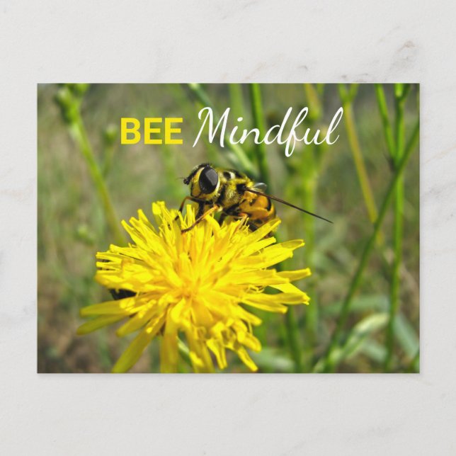 Postal de flor Bee Mindful Bumble Bee Dandelion (Anverso)