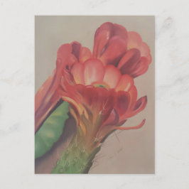Postal de flor de cactus