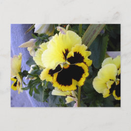 Postal de flor de color negro