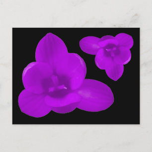 Postal de flor de color púrpura