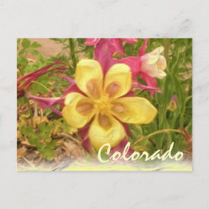 Postal de flor de columba amarilla