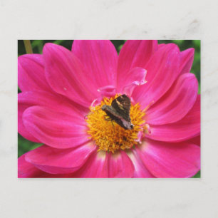 Postal de flor de primavera