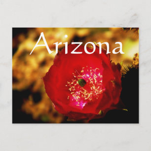 postal de flor del desierto, Arizona