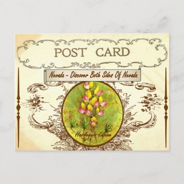 Postal de flor del estado de Vintada Nevada (Anverso)