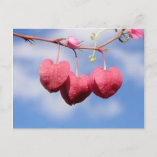 Postal de flor Hanging_heart