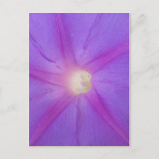 Postal de flor morada