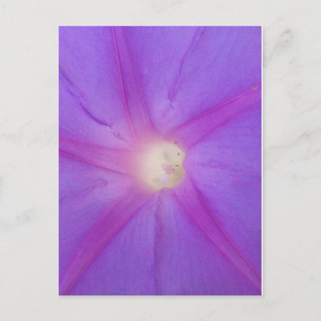 Postal de flor morada (Anverso)