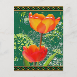 Postal de flor naranja