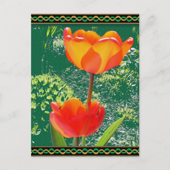 Postal de flor naranja (Anverso)