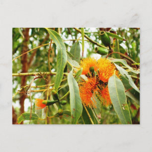 Postal de flor naranja