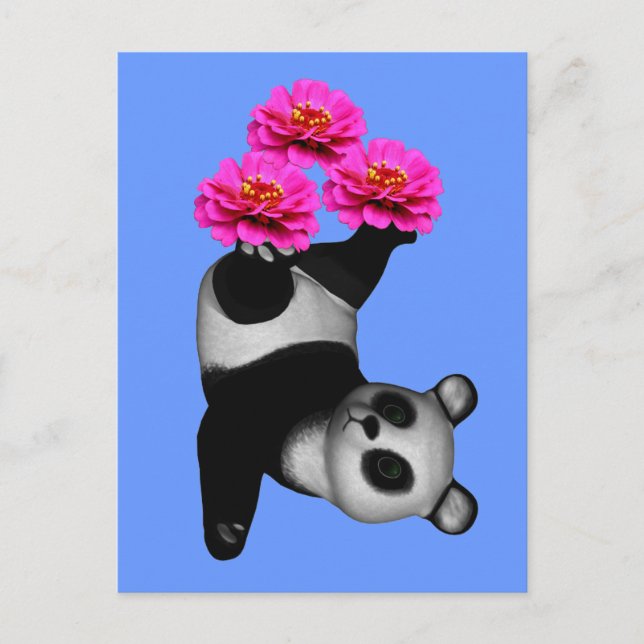 Postal De Flor Panda Bear And Pink Zinnia (Anverso)