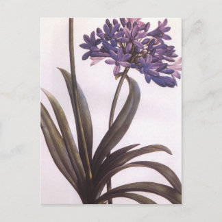Postal de flor púrpura Reducida por Vintage