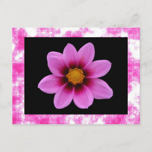Postal de flor rosa