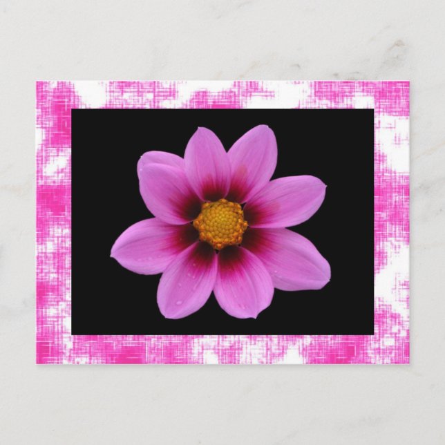 Postal de flor rosa (Anverso)