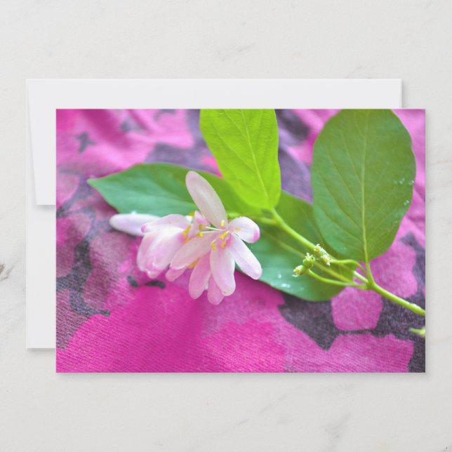 Postal de flor rosa (Anverso)