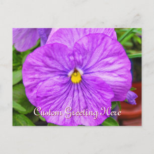 Postal de flor rosada púrpura