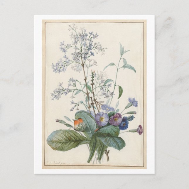 Postal de flor vintage (Anverso)