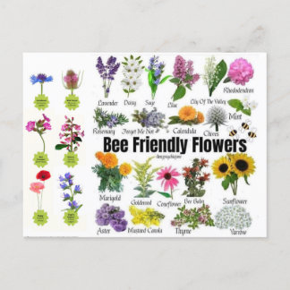 Postal de flores amigables para abejas