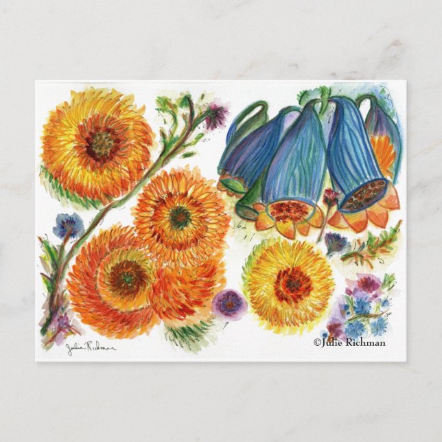 Postal de flores Blue Bell Zinnia (Anverso)