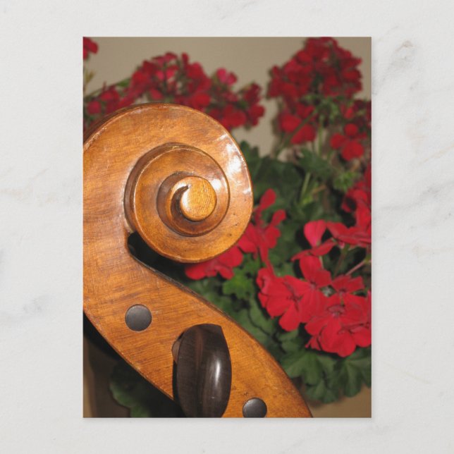 postal de Flores de Desplazamiento de Cello (Anverso)