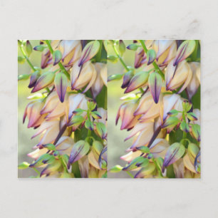 postal de flores de yucca