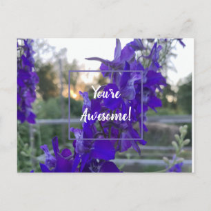 Postal de flores moradas