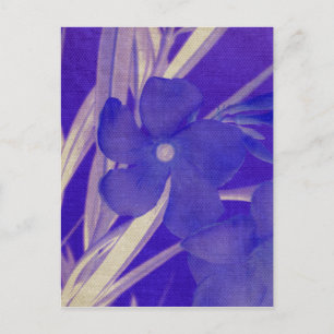 Postal de flores moradas