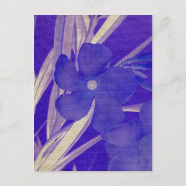 Postal de flores moradas (Anverso)