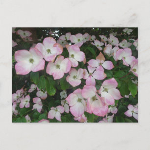 Postal de Flores Rosa DIY