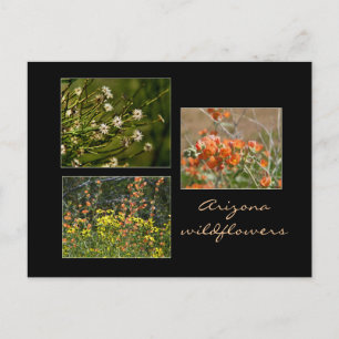 Postal de flores silvestres de Arizona