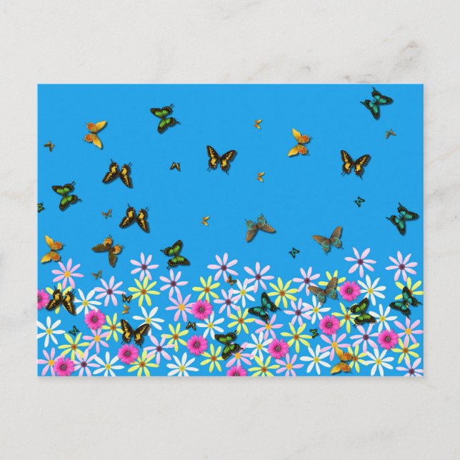 postal de flores y mariposas (Anverso)