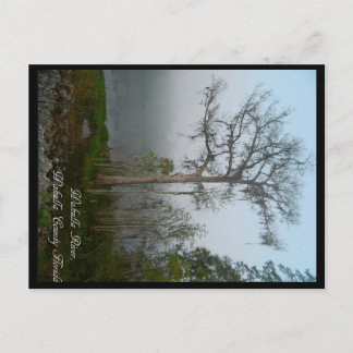 Postal de Florida del condado de Wakulla