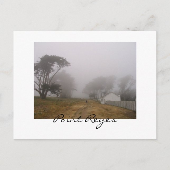 Postal de Foggy Point Reyes (Anverso)