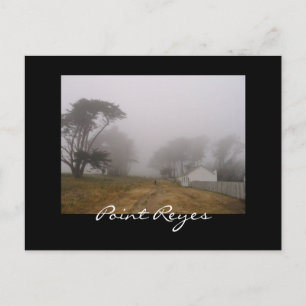 Postal de Foggy Point Reyes