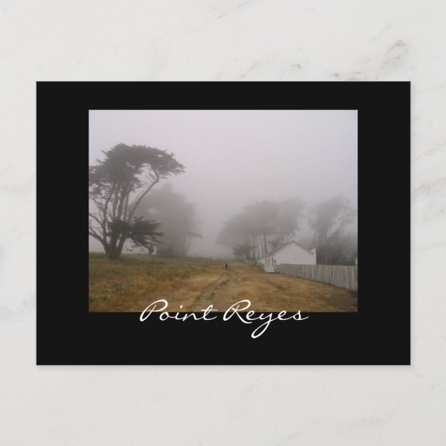 Postal de Foggy Point Reyes (Anverso)