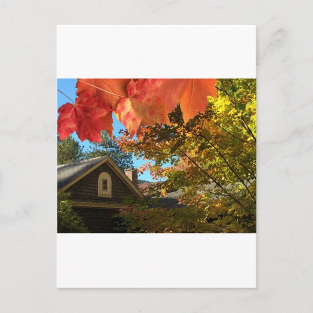 Postal de follaje del antiguo granero (Anverso)