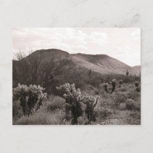 Postal de foto de B&W del desierto Cacti Jumping C