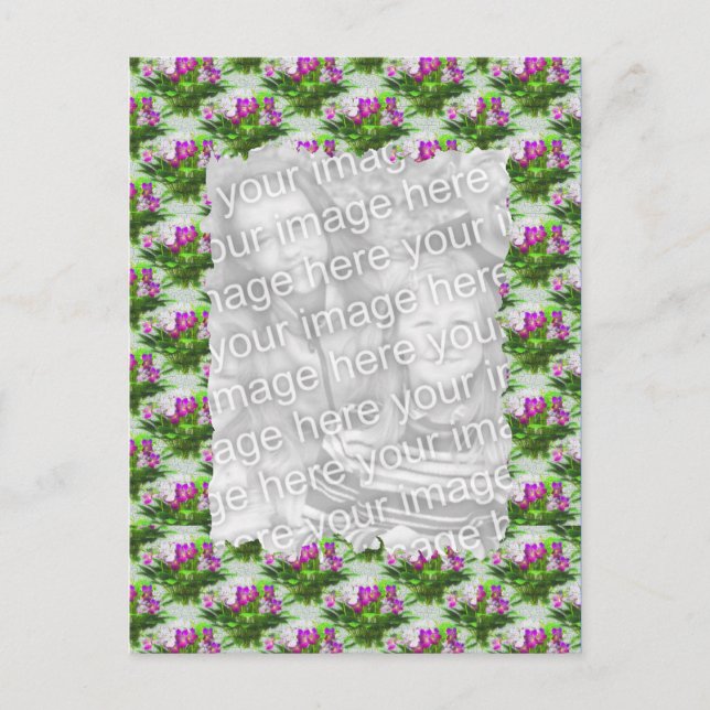 Postal de foto floral de violetas de bonito (Anverso)