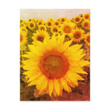 Postal de foto rusa de girasol vintage