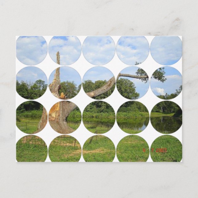 Postal de fotografía circular (Anverso)